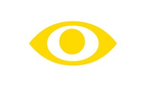 Auge